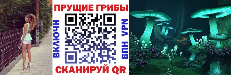 цена   Якутск  Галлюциногенные грибы прущие грибы 