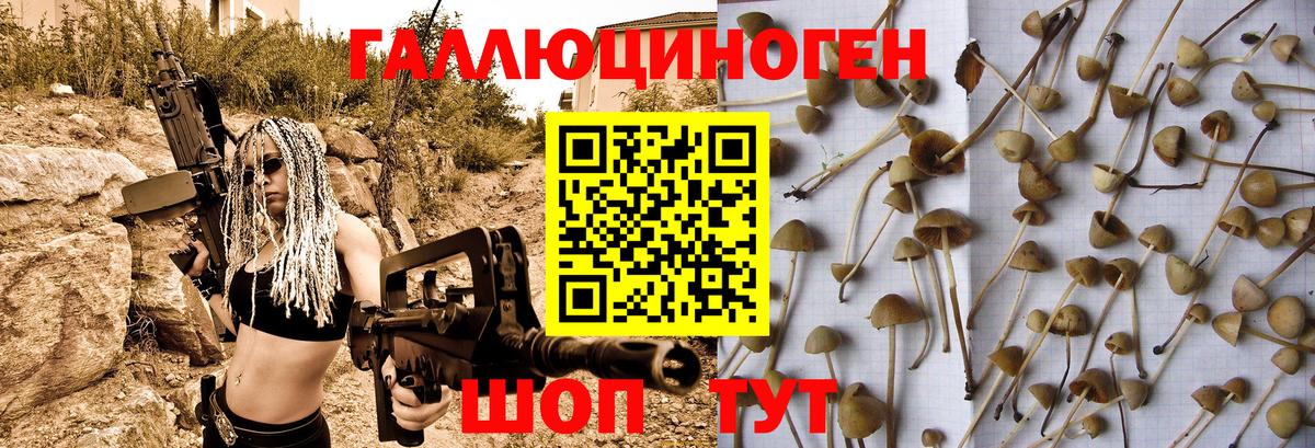 Якутск  Псилоцибиновые грибы GOLDEN TEACHER  Вход с VPN 