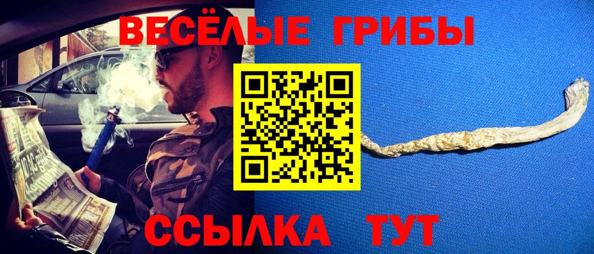 Галлюциногенные грибы прущие грибы Якутск